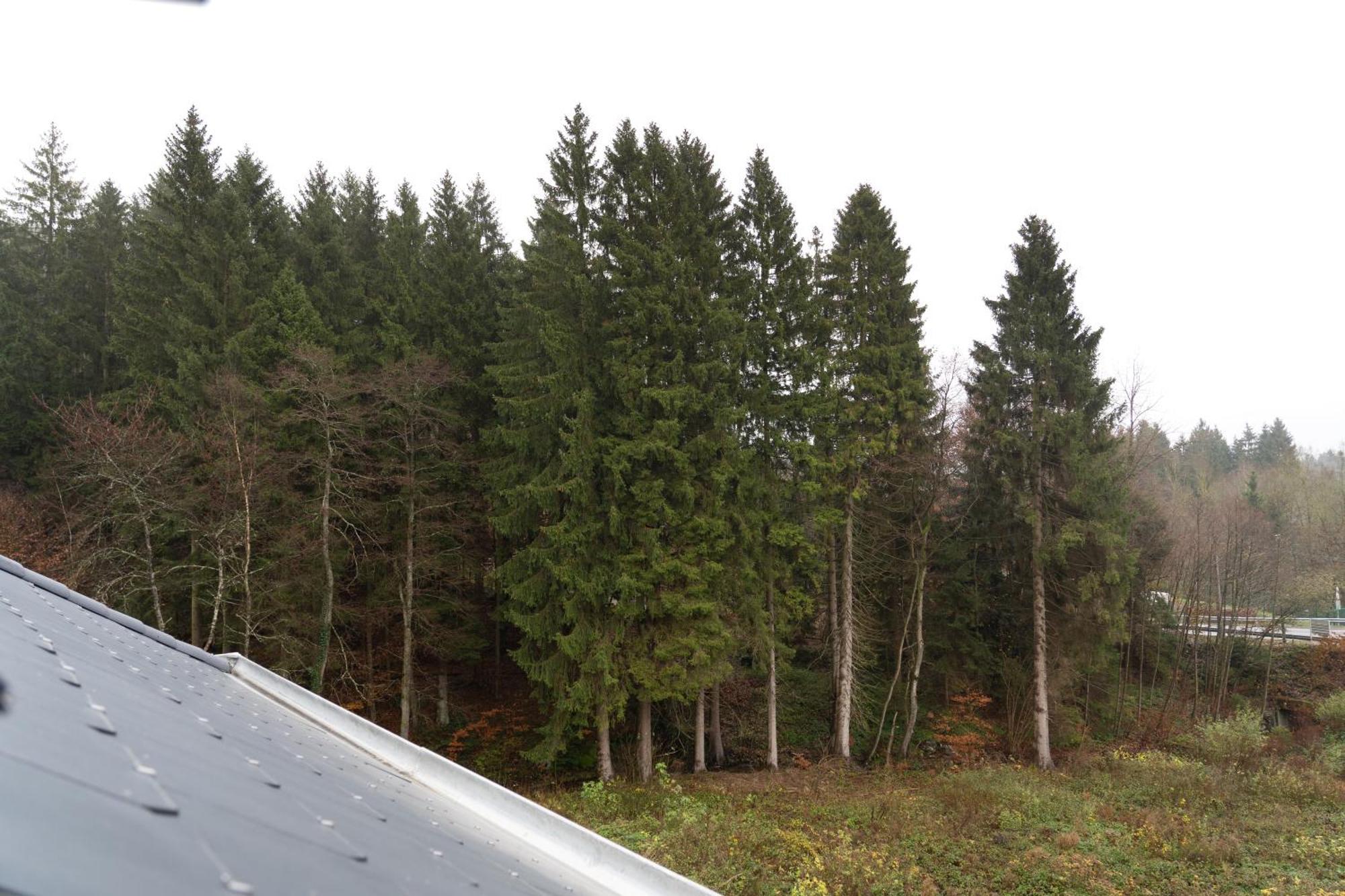 Open Source A L'Entree Du Circuit! Apartment Stavelot Bilik gambar